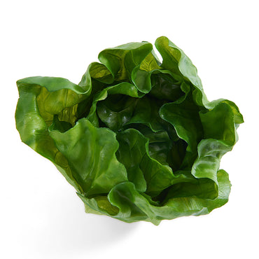 SALATA Legumă artificială