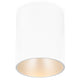 EYE TONE Plafonieră 1x10W GU10