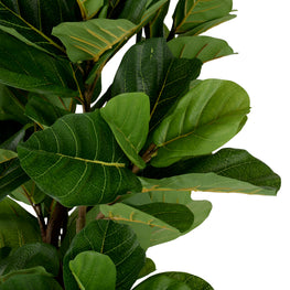 UV-FICUS Copac artificial