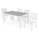 ENCORE/DRESDEN Set mobilier terasă/grădină, 4 scaune și masă