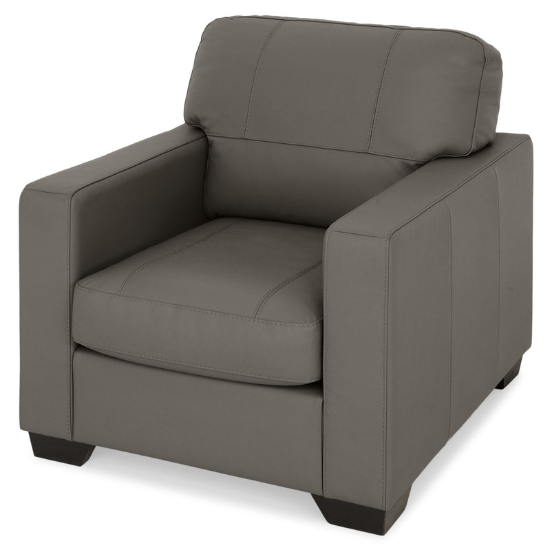 ASWAN Fotoliu, piele