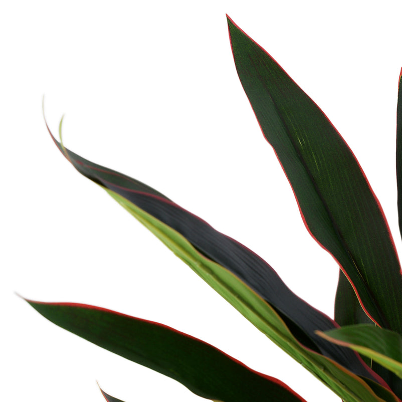 DRACENA Copac artificial în ghiveci