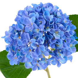 HYDRANGEA Floare artificială
