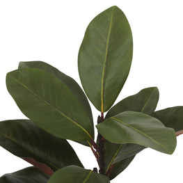 MAGNOLIA Crenguță artificială