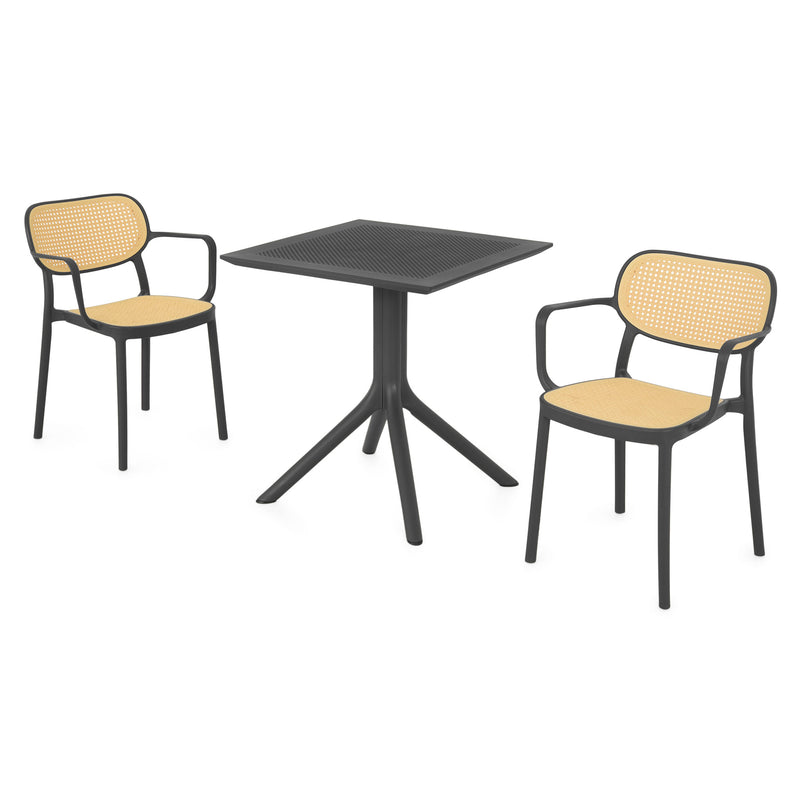 TIPPUS/ALIVIO Set mobilier terasă/grădină, 2 scaune și masă