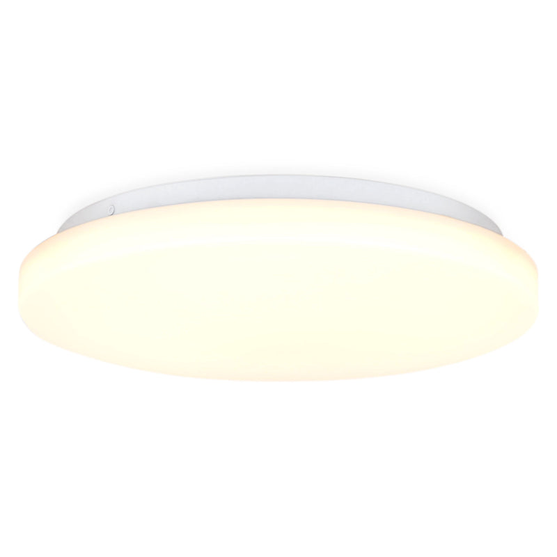 ZERNO Plafonieră 1x12W LED