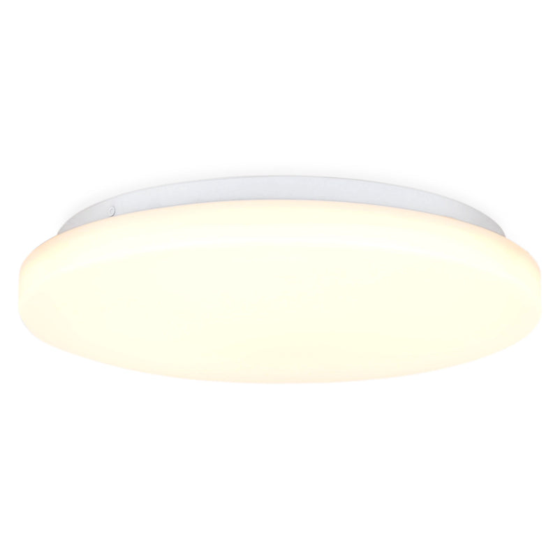 ZERNO Plafonieră 1x12W LED