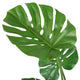 UV-MONSTERA Copac artificial