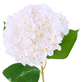 HYDRANGEA Floare artificială