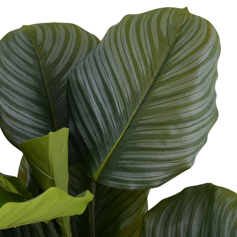 ROHDEA Plantă artificială în ghiveci