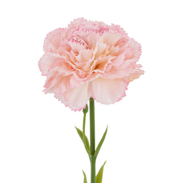 GAROFITA Floare artificială