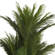PALM TREE Copac artificial în ghiveci, H.360cm