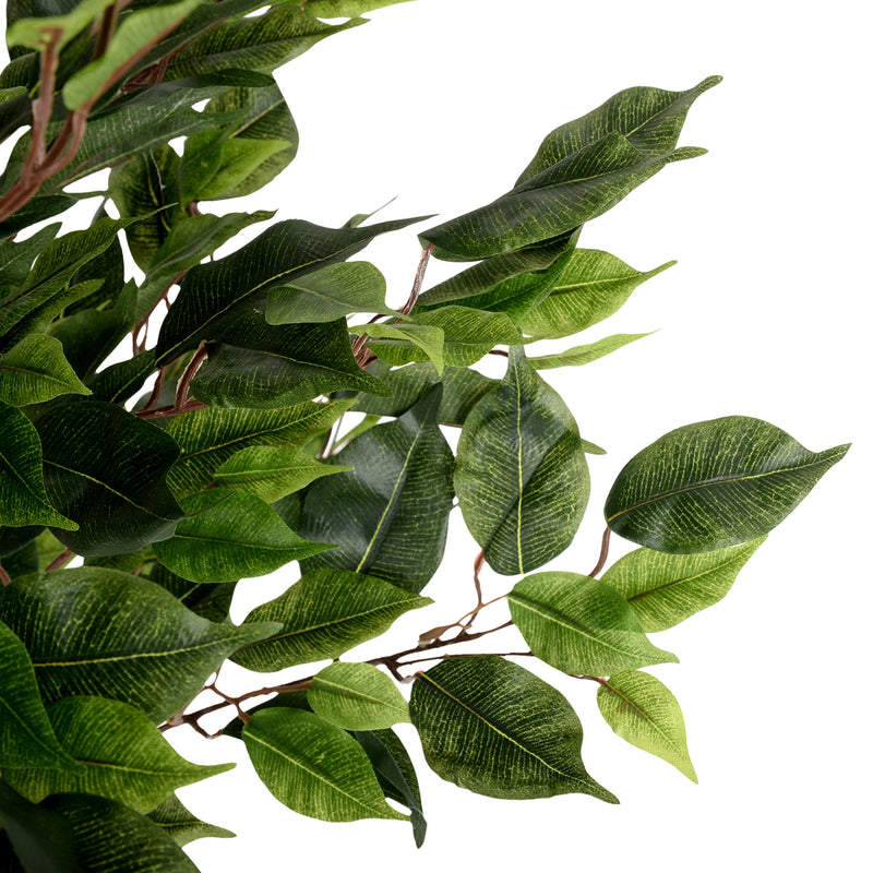 UV-FICUS Copac artificial