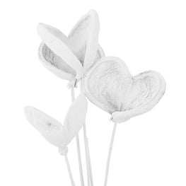 BADAM Crenguță naturală