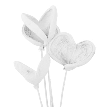 BADAM Crenguță naturală