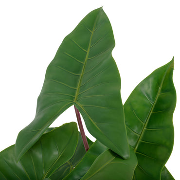 UV-ALOCASIA Copac artificial