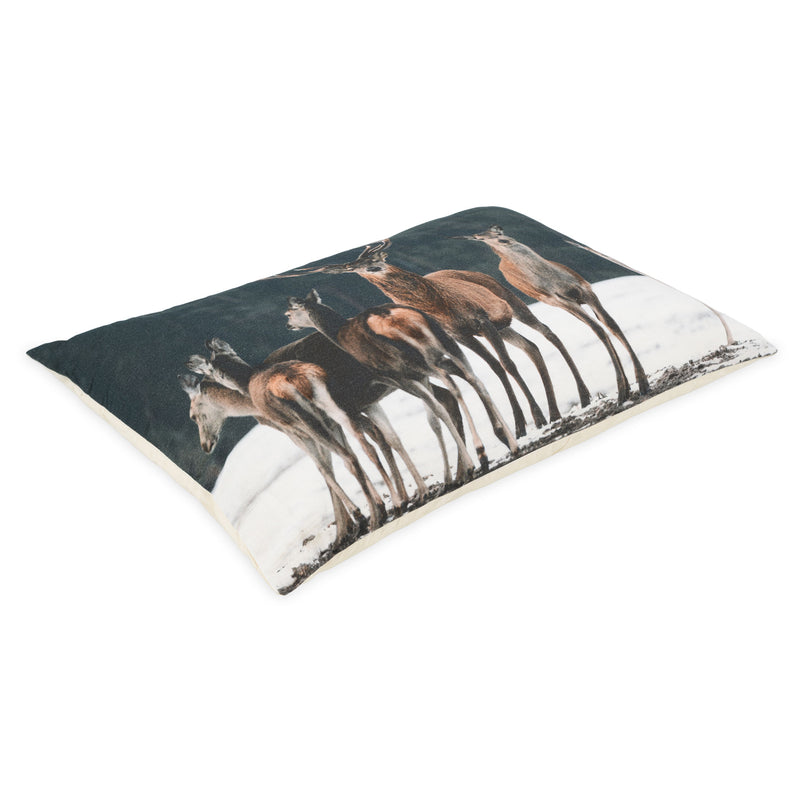 CERF Pernă decorativă, 40x60cm