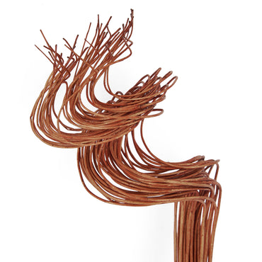 SALCIE Crenguțe naturale