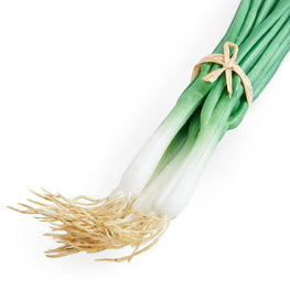 CEAPA Legumă artificială