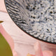 MARIETTE Set veselă, ceramică, 24 piese
