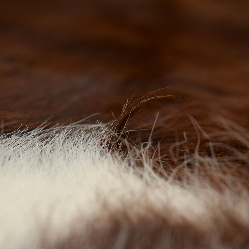 COW HIDE131 Covor cameră
