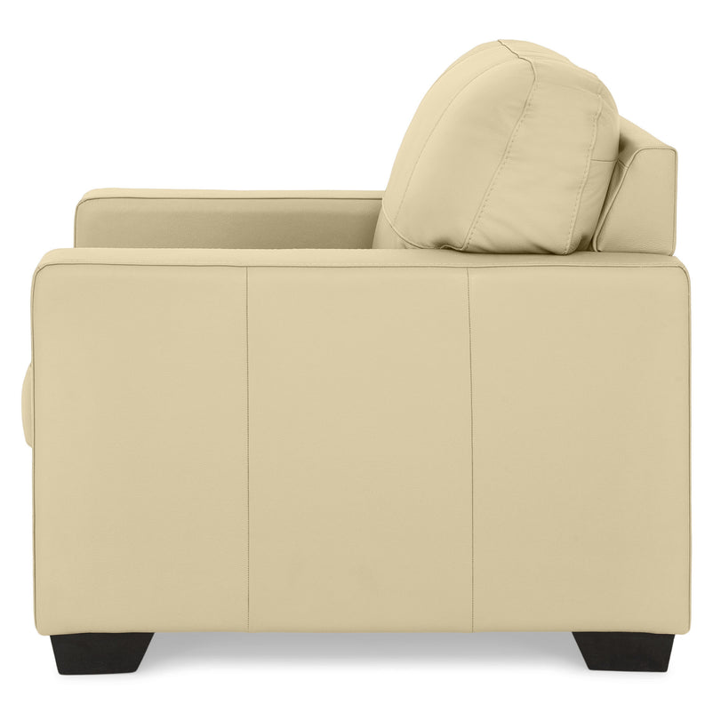 ASWAN Fotoliu, piele