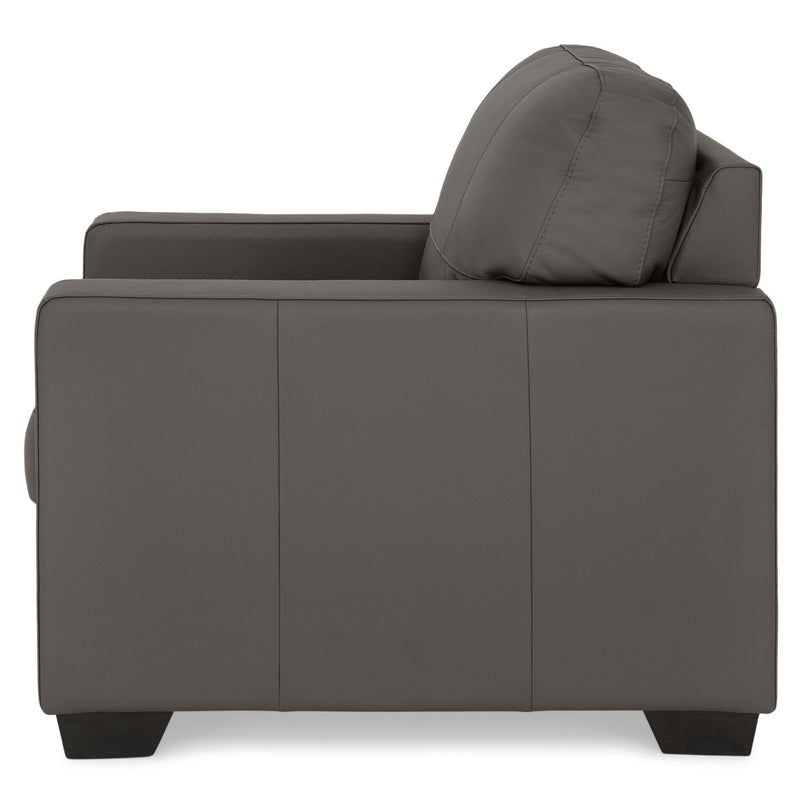 ASWAN Fotoliu, piele