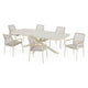 PERUGIA/SALERNO Set mobilier terasă/grădină, 6 scaune și masă