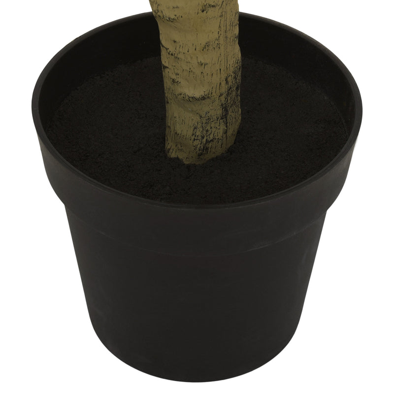 BELLFLOWER Copac artificial în ghiveci, H.220cm