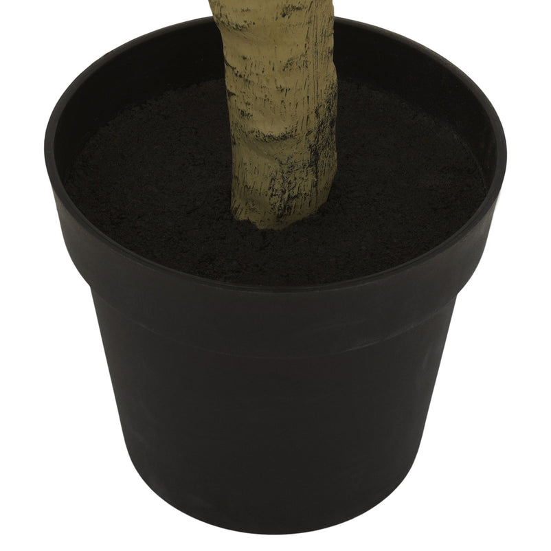 BELLFLOWER Copac artificial în ghiveci, H.220cm