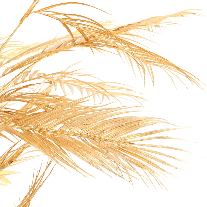 GOLD ARECA Copac artificial