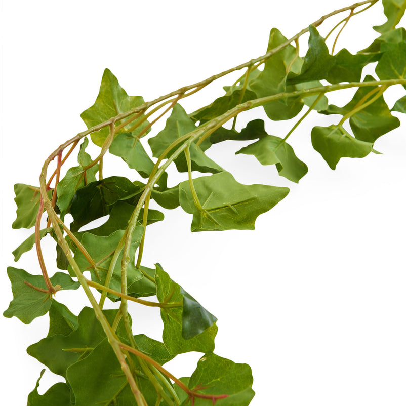 IEDERA Plantă artificială
