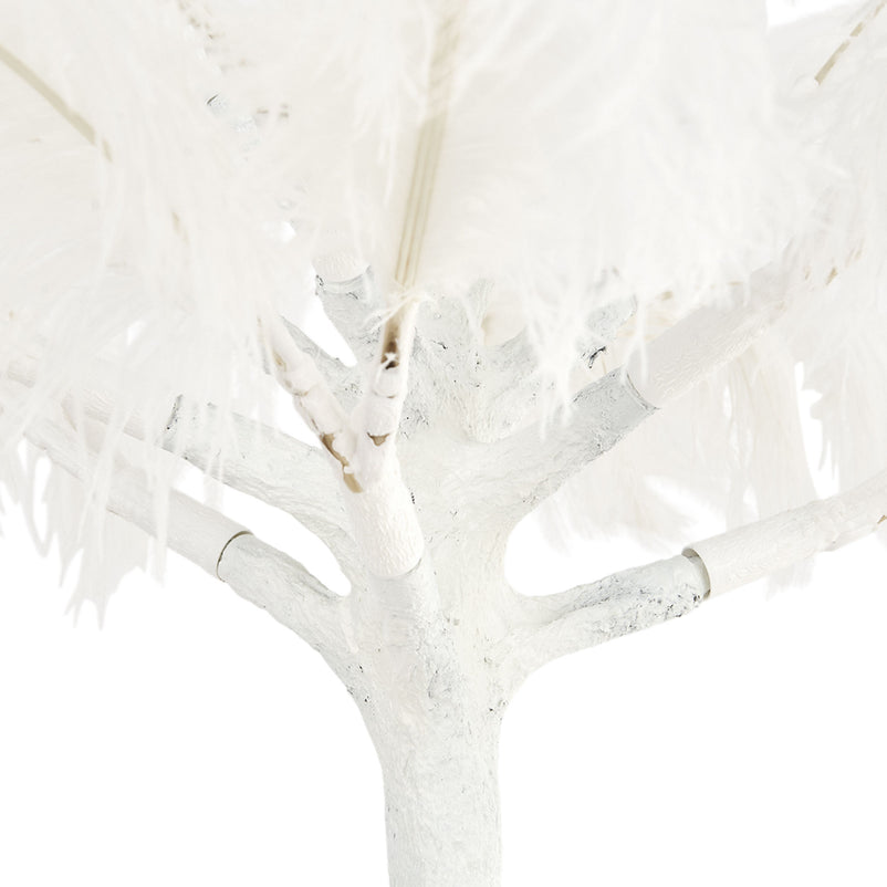 FEATHERS Plantă decorativă