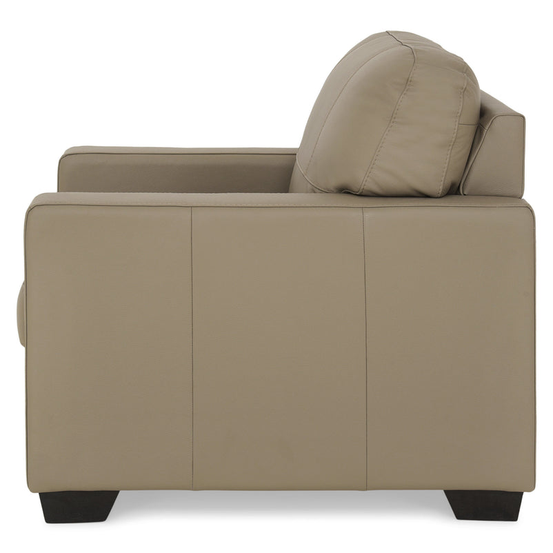 ASWAN Fotoliu, piele