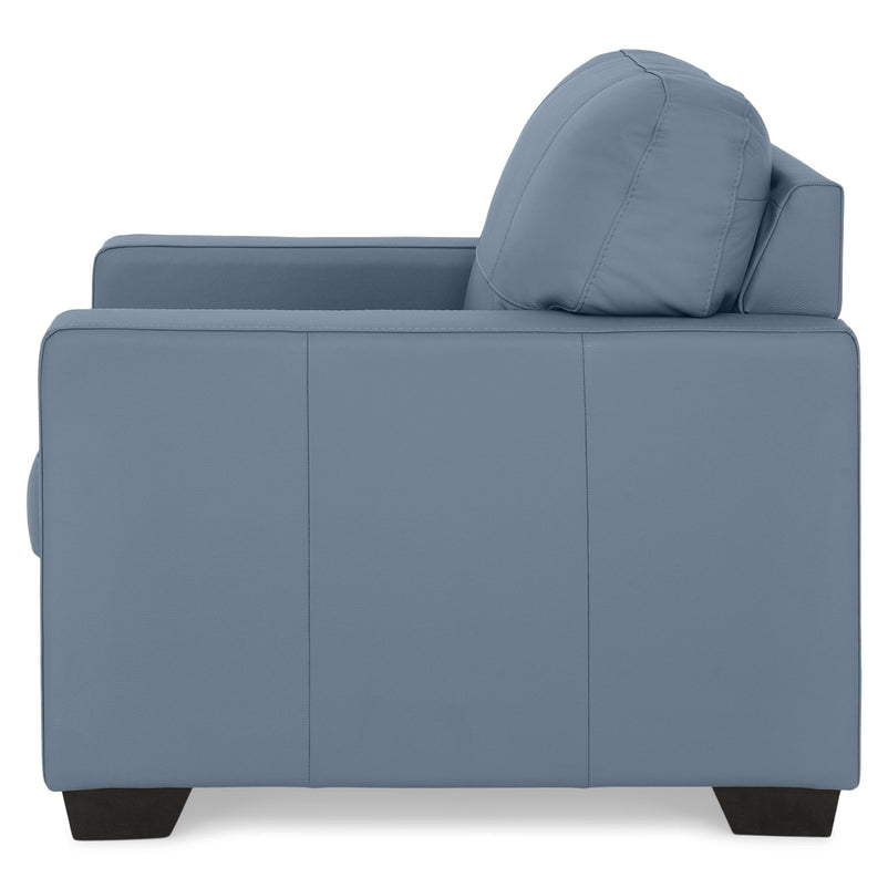 ASWAN Fotoliu, piele