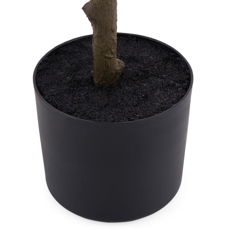 MAPLE Copac artificial în ghiveci