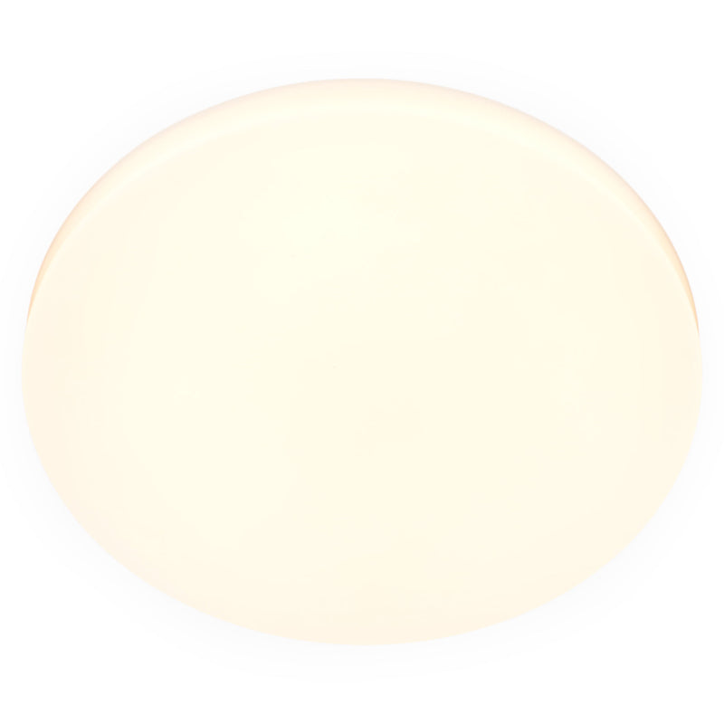 ZERNO Plafonieră 1x12W LED