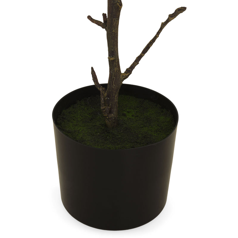 TROPICAL ALMOND Plantă artificială în ghiveci