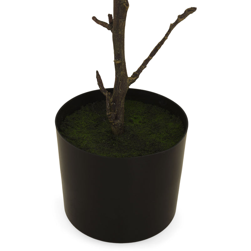 TROPICAL ALMOND Plantă artificială în ghiveci