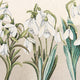 GALANTHUS Față de masă, D.165cm