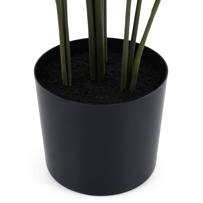 ROHDEA Plantă artificială în ghiveci