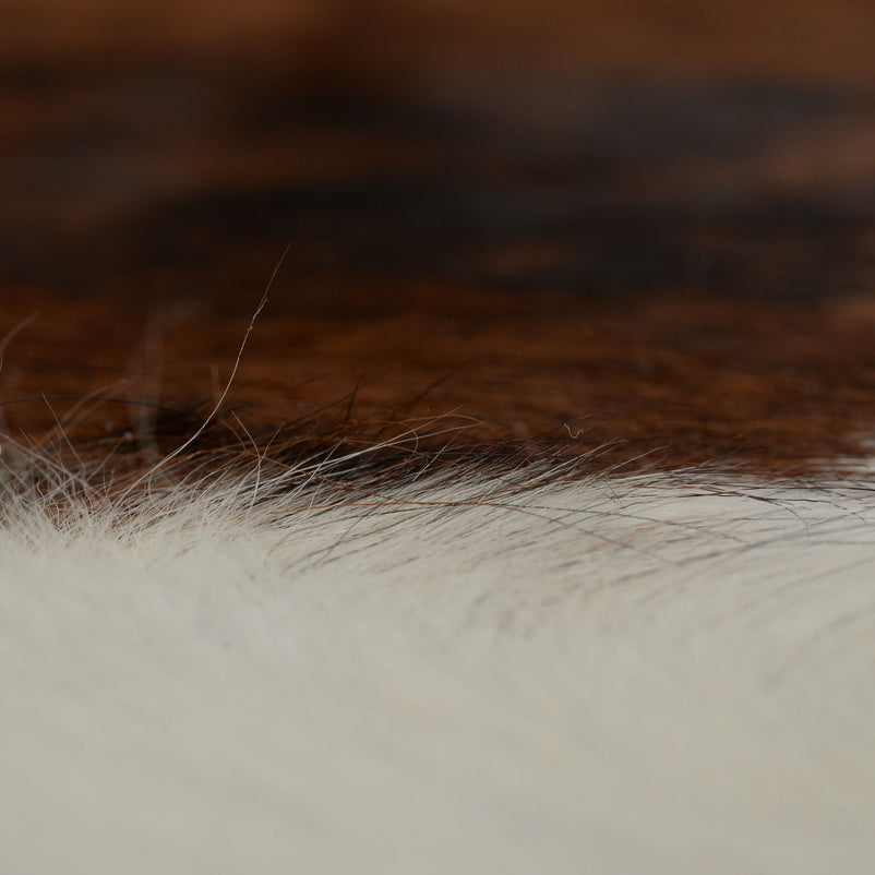 COW HIDE160 Covor cameră