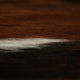 COW HIDE154 Covor cameră