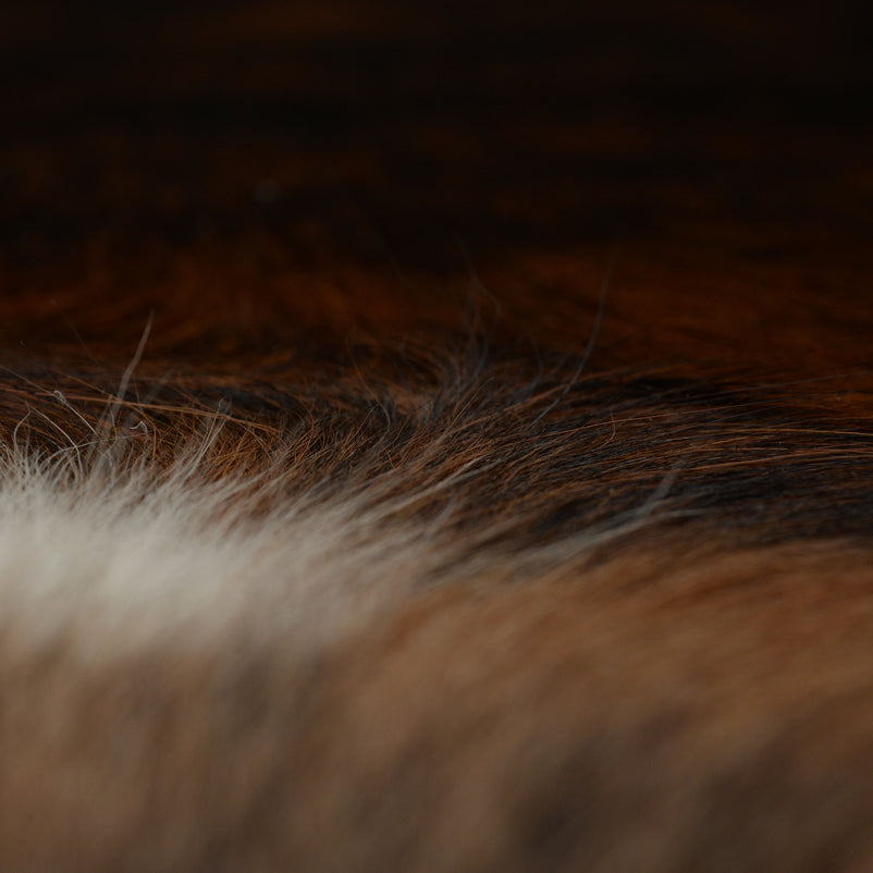 COW HIDE123 Covor cameră