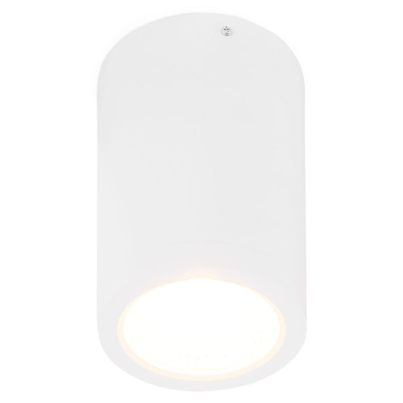 RENO Plafonieră 1x10W LED