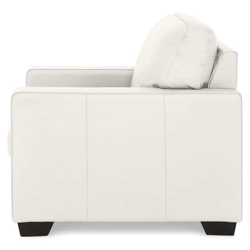 ASWAN Fotoliu, piele