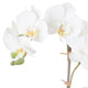 SNOWY ORCHID Aranjament flori artificiale