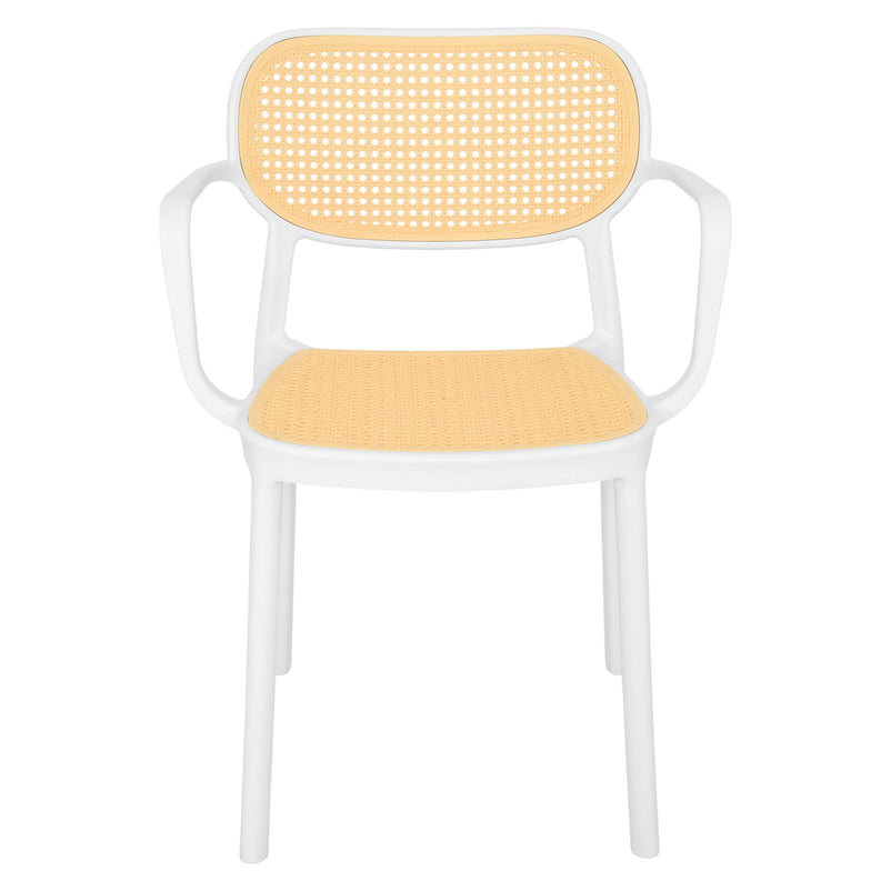 PLEZURO/ALIVIO Set mobilier terasă/grădină, 2 scaune și masă