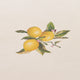 CITRUS Față de masă