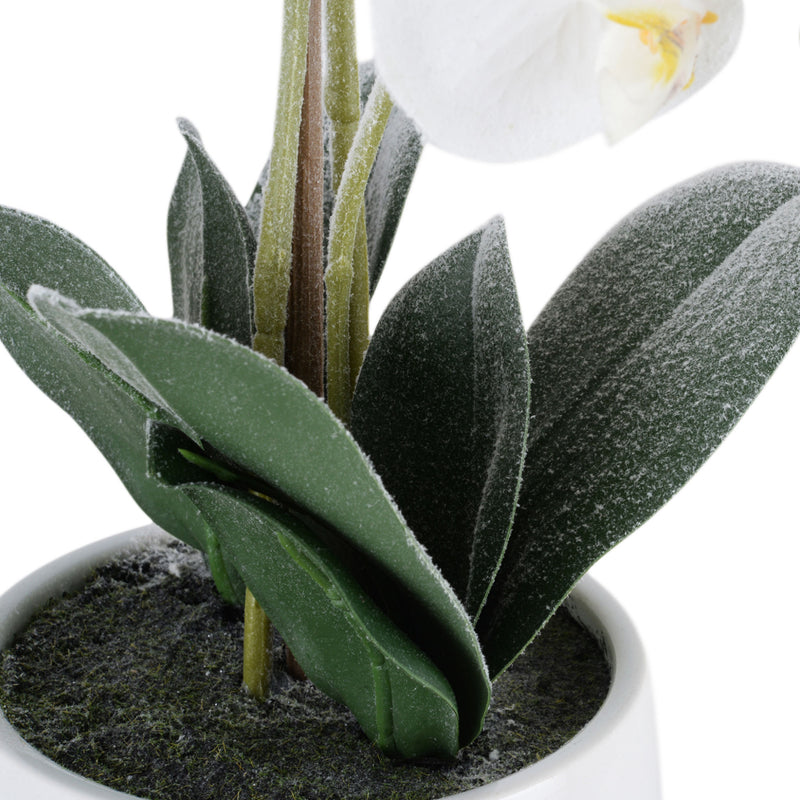 SNOWY ORCHID Aranjament flori artificiale